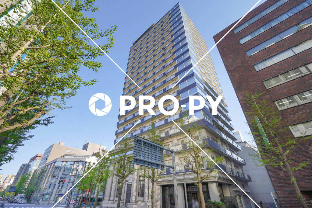 pro-py services