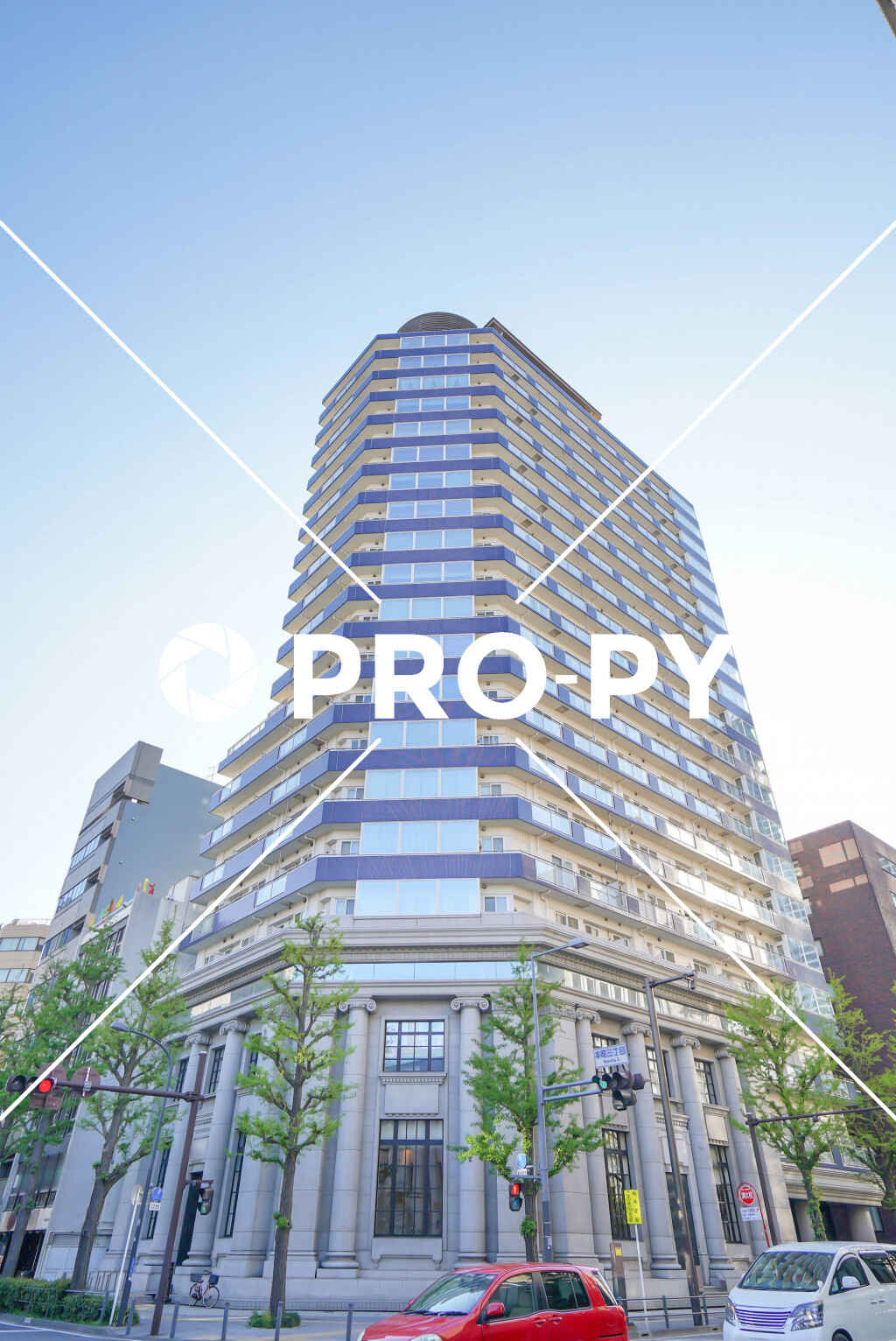 pro-py services