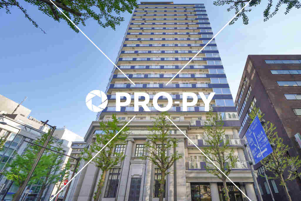 pro-py services