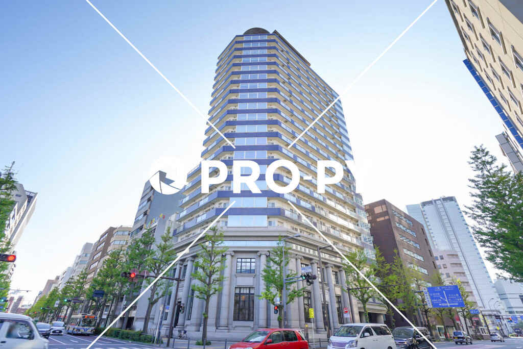 pro-py services