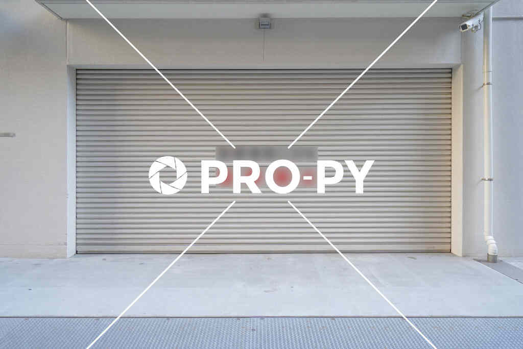 pro-py services