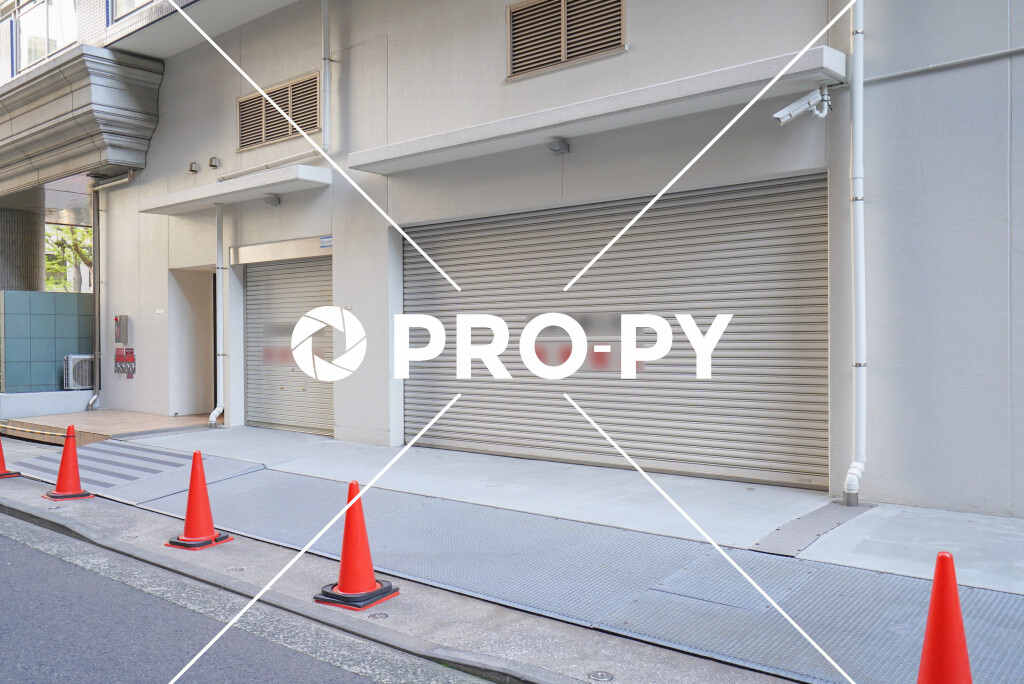 pro-py services