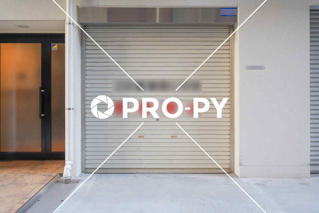 pro-py services