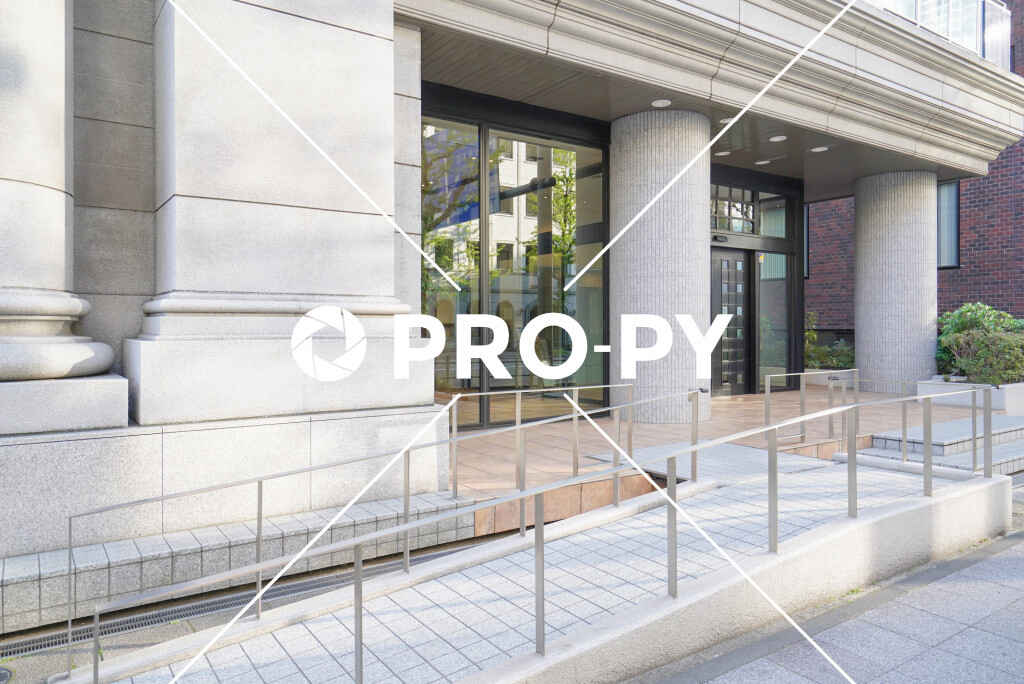 pro-py services