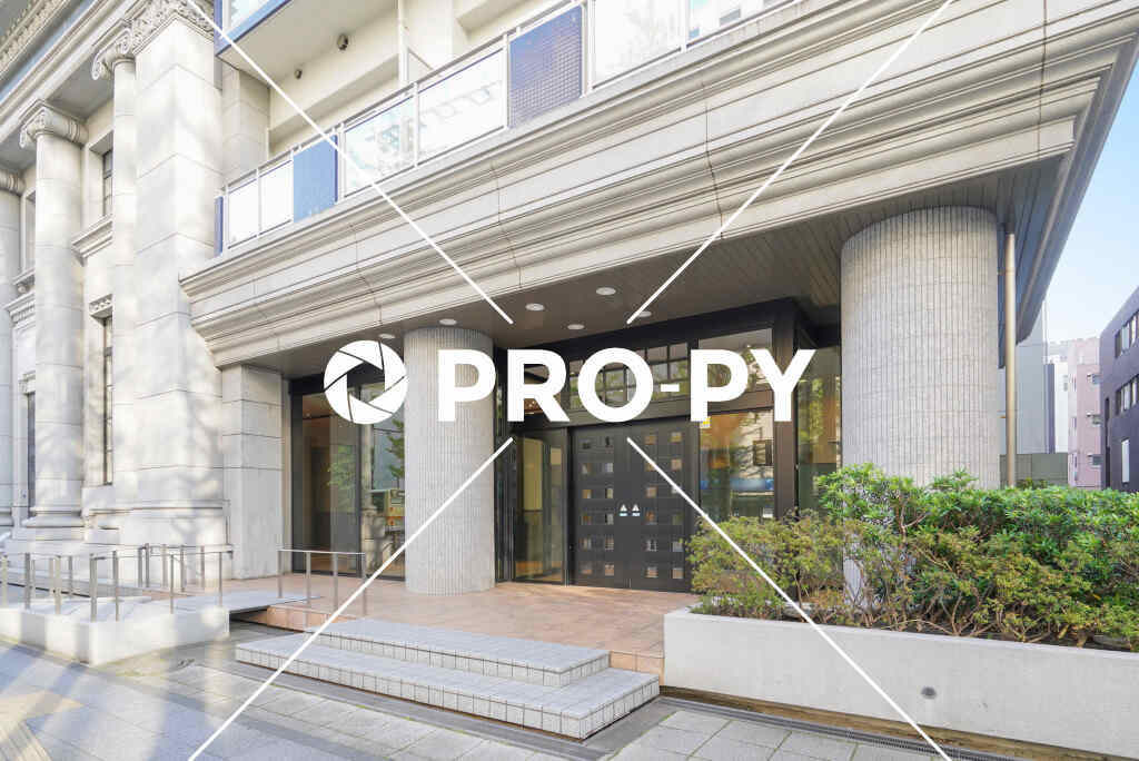 pro-py services