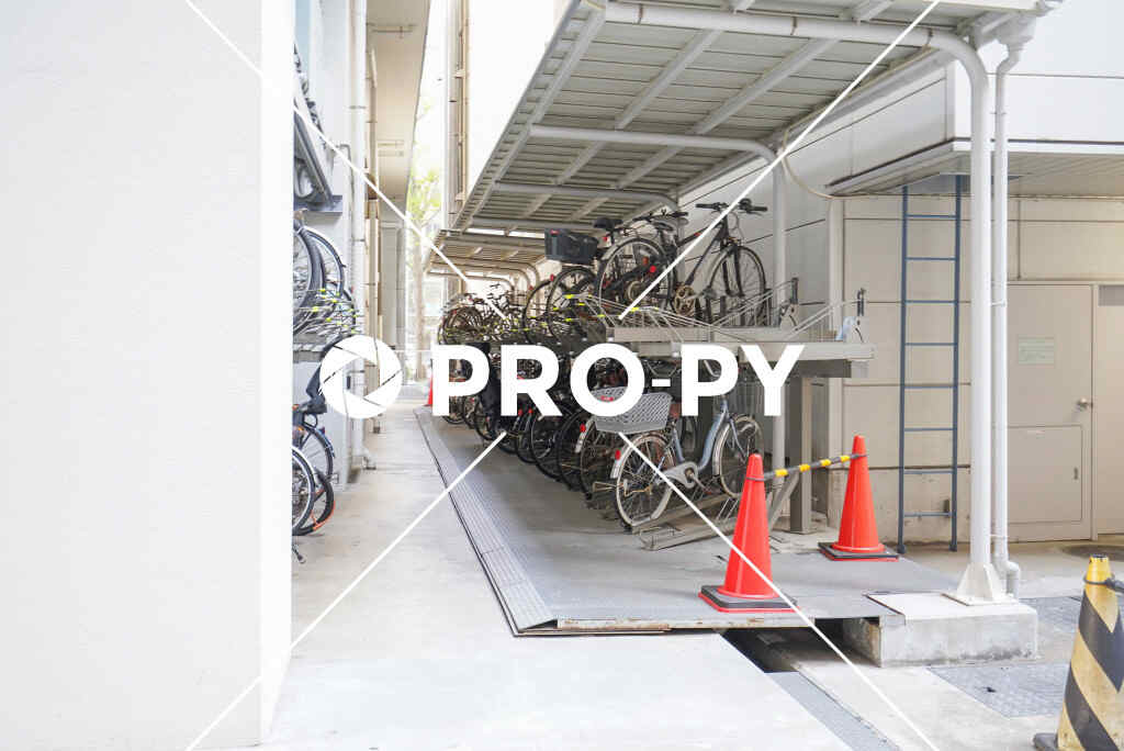 pro-py services